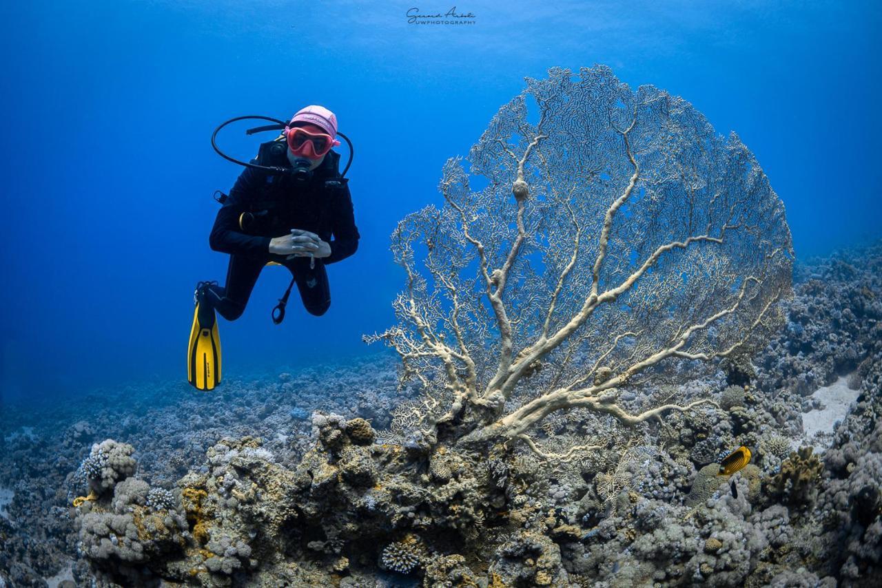 Bait Alaqaba Dive Center & Resort Luaran gambar