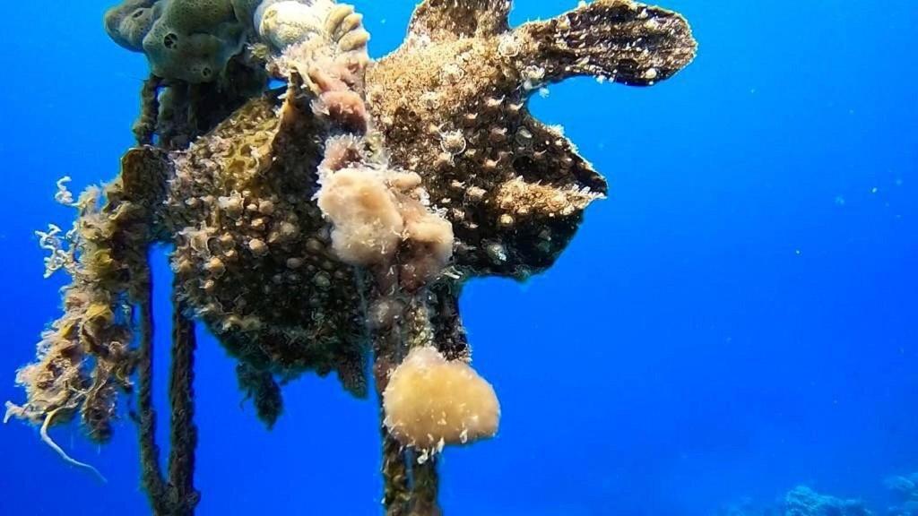Bait Alaqaba Dive Center & Resort Luaran gambar